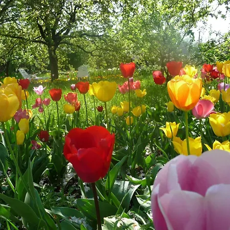 Domaine Chez Marianne Mit Privatparkplatz By Interhome