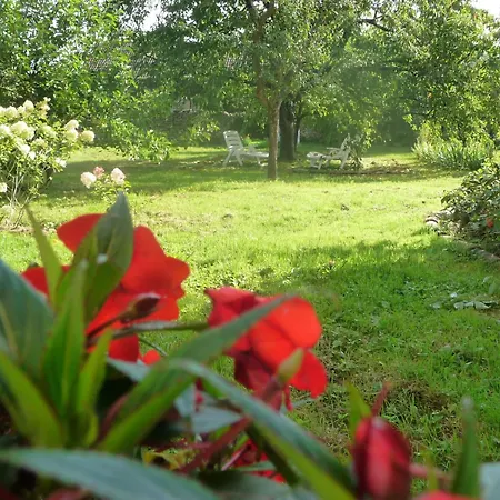 Domaine Chez Marianne Mit Privatparkplatz By Interhome Apartment Villers-en-Haye