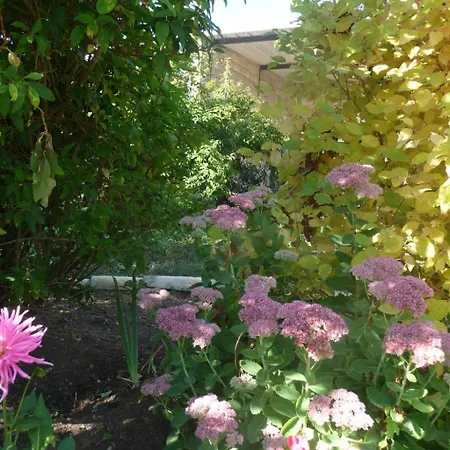 Domaine Chez Marianne Mit Privatparkplatz By Interhome Villers-en-Haye