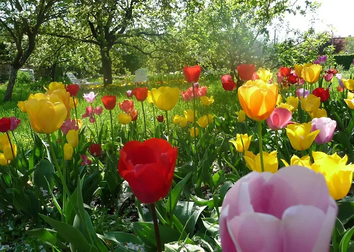 Domaine Chez Marianne Mit Privatparkplatz By Interhome