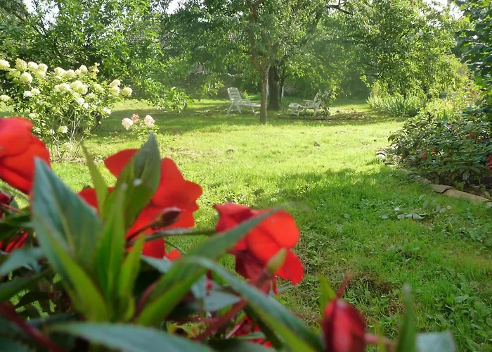 Domaine Chez Marianne Mit Privatparkplatz By Interhome Апартаменты Jezainville