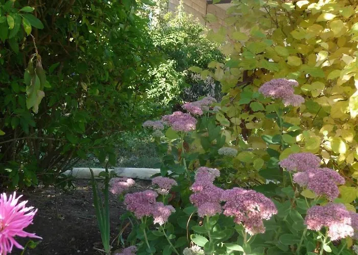 Domaine Chez Marianne Mit Privatparkplatz By Interhome Jezainville