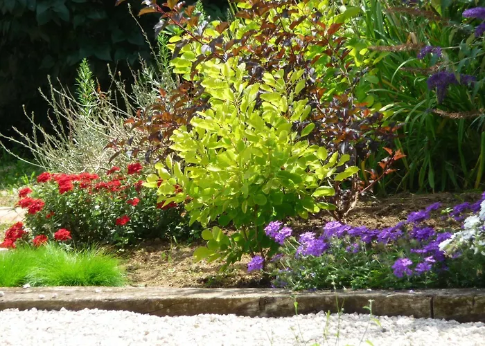 Domaine Chez Marianne Mit Privatparkplatz By Interhome * Jezainville